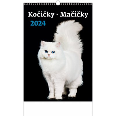 Nástěnný Kočičky 2024