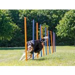 Trixie gility slalom,tyče 12 ks 3,3/115 cm – Hledejceny.cz