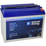 GOOWEI ENERGY 6-EVF-45 45Ah 12V – Sleviste.cz