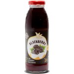 Georgian Ostružinový 100% džus Nectar 300 ml – Zboží Dáma