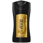 Axe Gold Temptation sprchový gel 250 ml – Zboží Mobilmania