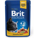 Brit Premium Cat Salmon & Trout 100 g – Sleviste.cz
