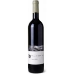 Galil Mountain Winery (יקב הרי גליל) Galil Mountain Winery Cabernet Sauvignon suché červené 2019 14,5% 0,75 l (holá láhev) – Hledejceny.cz