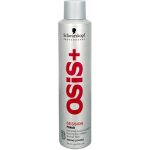 Schwarzkopf Professional Osis Session Extreme Hold lak na vlasy 500 ml – Zboží Dáma