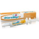 Ceva Diarsanyl pasta 10 ml – Zboží Mobilmania