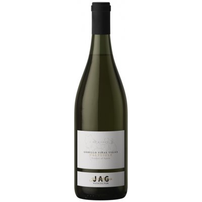 Jose Antonio García Godello Vinas Viejas Valtuille suché bílé 2022 13% 0,75 l (holá láhev) – Hledejceny.cz