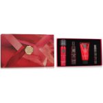 Rituals The Ritual of Ayurveda Gift Set S – Zboží Dáma