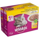 Whiskas Adult drůbeží výběr v želé, 24 x 100 g – Hledejceny.cz