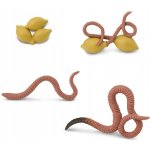 Safari Životní cyklus Žížala – Zbozi.Blesk.cz