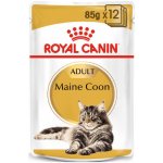 Royal Canin Maine Coon Adult v omáčce 12 x 85 g – Hledejceny.cz
