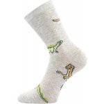 Chlapecké ponožky Dinosaurus světle šedá – Zboží Dáma