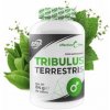 6PAK Nutrition Tribulus Terrestris 90 kapslí