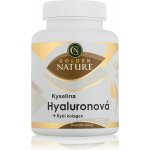 Golden Nature Kyselina hyaluronová+Rybí kolagen+Vit. C 100 kapslí