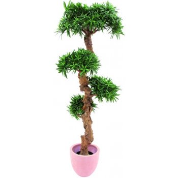 Bonsai palma s 4800 listy 120cm