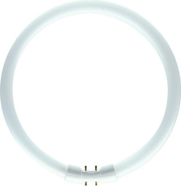 Philips Kruhová zářivka Master TL5 Circular 55W/830 T5 2GX13 teplá bílá 3000K