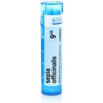 SEPIA OFFICINALIS POR 9CH GRA 4G – Hledejceny.cz