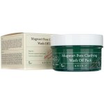 Axis y Mugwort Pore Clarifying Wash Off Pack 100 ml – Hledejceny.cz