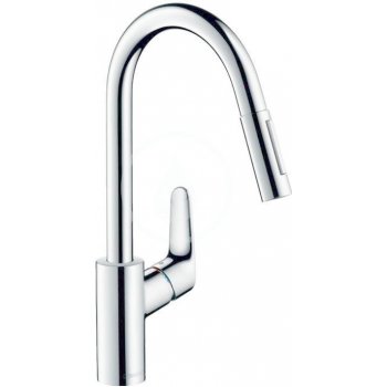 Hansgrohe Focus 31815000