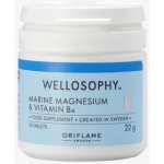 Oriflame Mořský hořčík s vitaminem B6 Wellosophy 30 ks – Hledejceny.cz