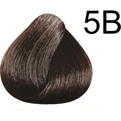 Color & Soin barva na vlasy 5B čokoládově hnědá 135 ml – Hledejceny.cz