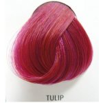 La Riché Directions barva na vlasy Tulip – Sleviste.cz