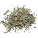 Salvia Paradise GOTU KOLA Pupečník asijský 50 g