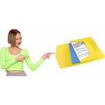 Esselte Box na spisy s gumičkou Jumbo Vivida, Vivida žlutá, 40 mm, A4, PP – Hledejceny.cz