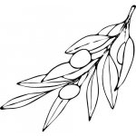 Alteya Olivový olej 100% Bio 100 ml – Sleviste.cz