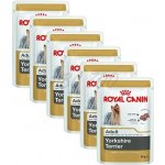 Royal Canin Yorkshire Adult 12 x 85 g – Zboží Mobilmania