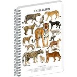 Animalium Spirálový blok Kočkovité šelmy čtverečkovaný A5 – Zboží Živě
