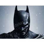 Batman: Arkham Origins – Hledejceny.cz