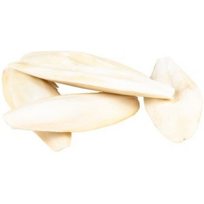 DUVO+ sépiová kost sypaná 15-28cm 5kg – Zbozi.Blesk.cz