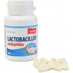 Apotheke Lactobacillus acidophilus 60 tablet – Hledejceny.cz