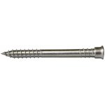 Vruty RAPI-TEC TERASO EKO 5,5x60mm TX25 nerez A2 – Hledejceny.cz