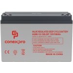 Conexpro AGM-12-100 12V 100Ah – Zboží Mobilmania