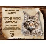 Cedulky-sporthobby 039 Cedulka Kočka Mainská mývalí Čeština 20 x 15 cm – Zboží Dáma