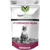Vitamín a doplňky stravy pro kočky VetriScience UT Strenght doplněk na podporu močových cest pro kočky 90 g