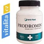 Theo Herbs Prodromin 100 kapslí – Hledejceny.cz