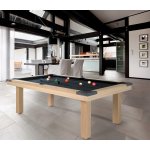 René Pierre Carriera pool 8ft – Zbozi.Blesk.cz