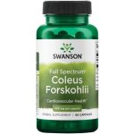 Swanson Coleus Forskohlii ForskolinAfrická Kopřiva 400 mg 60 kapslí – Hledejceny.cz