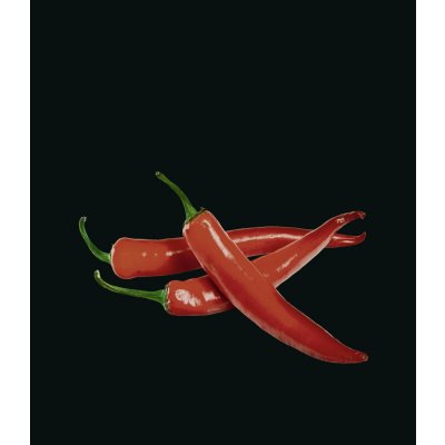 Wenko Skleněná deska HOT PERONI, 60 x 70 cm černá – Hledejceny.cz