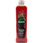 Radox Muscle Therapy pěna do koupele 500 ml – Zboží Dáma