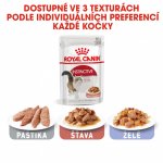 Royal Canin Instinctive Gravy 85 g – Zbozi.Blesk.cz