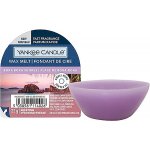 Yankee Candle vonný vosk Bora Bora Shores 22 g – Hledejceny.cz