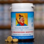 TCM Herbs Síla opravdového bojovníka 100 tablet – Hledejceny.cz