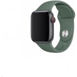 Coteetci silikonový sportovní náramek pro Apple watch 38 / 40 mm jehličnatá zelená CS2085-GN – Hledejceny.cz