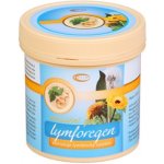 Green idea Lymforegen gel na lymfatický systém 3000 ml – Zboží Mobilmania
