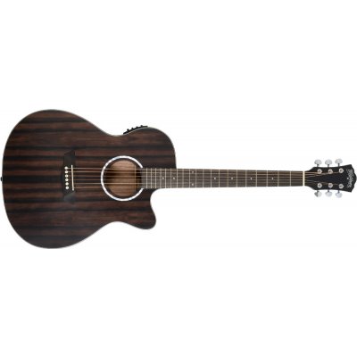 Washburn DF (EACE) – Zbozi.Blesk.cz