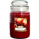 Airpure Apple Cinnamon 510 g – Zboží Dáma