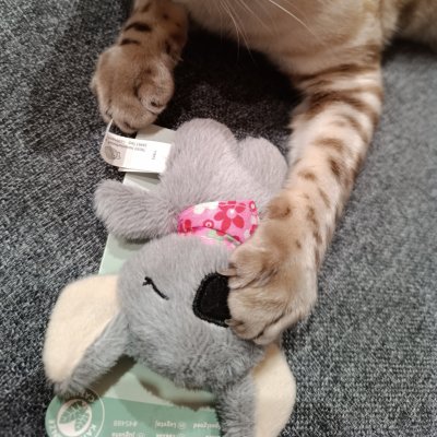 Trixie Koala s catnipem 12 cm – Hledejceny.cz